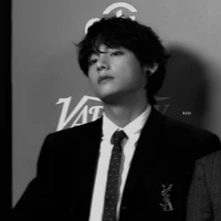 Kim Taehyung / V /