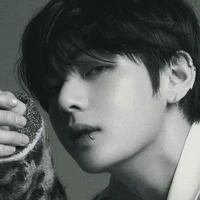 Kim TaeHyung - Anh