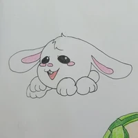 Thỏ