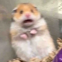 Pé chuột