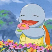 Pokemon tổng hợp