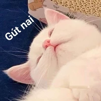 cả đám