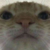 Gái ẹp ó 🙃(Taeyong)