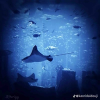 All đag có mặt(-những ai cần trừ)