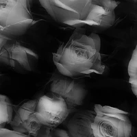 bộ tứ- Viet Chi Jap Ame