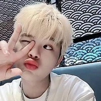 Nguyễn Quang Anh ( rhyder)