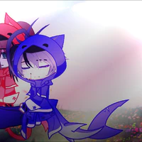 🦈Shark🦈