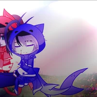 🦈Shark🦈