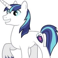 shining armor