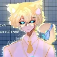 Hiha anti catnap