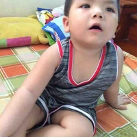 Người làm truyện Meo meo