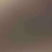 All bot trừ ai tự bít