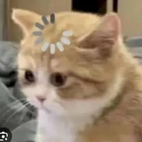 tác giả yêu móe