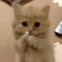 tg lắm chuyện