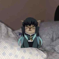 T/g