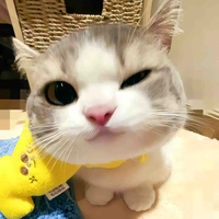 Tác giả dangiu