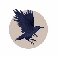 Crow Raven 🐦‍⬛ 
