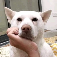 Lớp l.ồ.n
