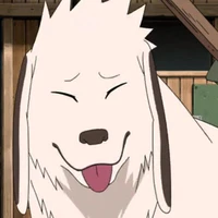 akamaru