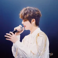 Đinh Trình Hâm¹