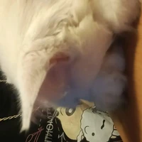 Tg