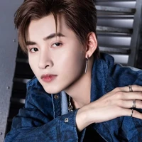 Huỳnh Hoàng Hùng-Gemini