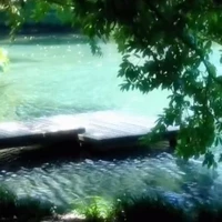 con tg hơi bị siêng năng