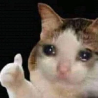 Con tác giả lúc đó