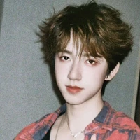 Hạ Tuấn Lâm_(Y)