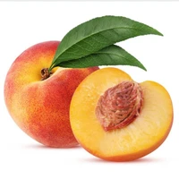nhân vật quần chúng