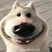 cứt trôi sông kìa