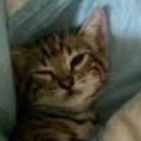 WhisKy