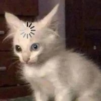 Nhỏ tác giả nek:))