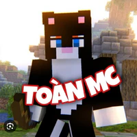 Toàn