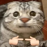 Cả lớp