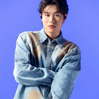 Dương Domic