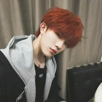 Tô Tân Hạo