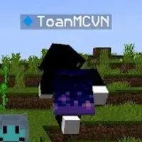 Toàn