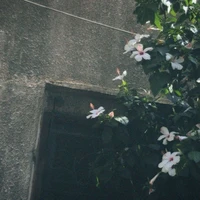 Nhân vật cân mọi loại vai🌹