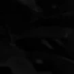 ？？？