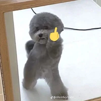 sáng tác chuyện