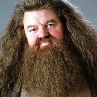 Rubeus Hagrid