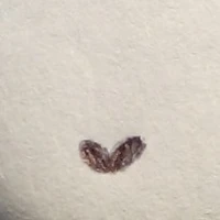 Nhân vật phụ nam