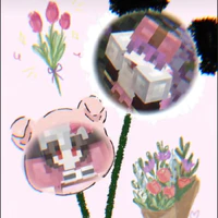 Tớ là B.hann💗