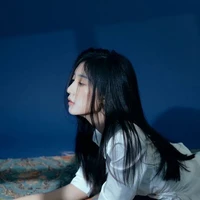 Hồng Tĩnh Văn(nãi cái)