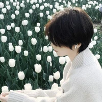 Nguyễn Hoàng Kim Ngưu | @Nguudaica