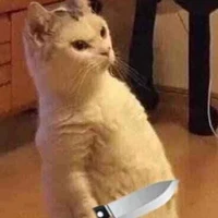 bạn thân tui (Vy)