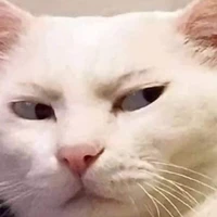 cô giáo