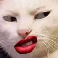 con kao nghét (Ngọc)