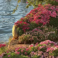 All [ Trừ ai cần trừ ]